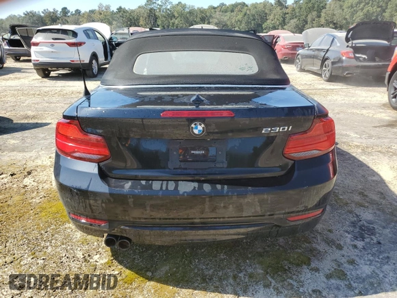 2019 BMW 2 Series 230i with VIN WBA2M7C57K7D33514, listed as a Copart auction lot 73794664 with 0 mi miles and Non Repairable. Bid and sale history available at carsss.com. Image 6.