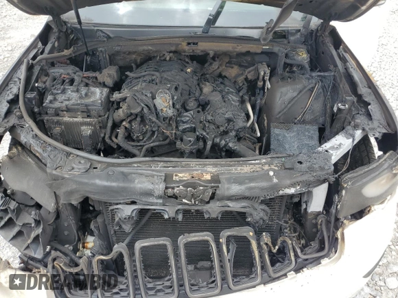 2017 Jeep Grand Cherokee Trailhawk with VIN 1C4RJFLG9HC602034, listed as a Copart auction lot 59823085 with Not provided miles and Salvage title. Bid and sale history available at DreamBid. Image 12.