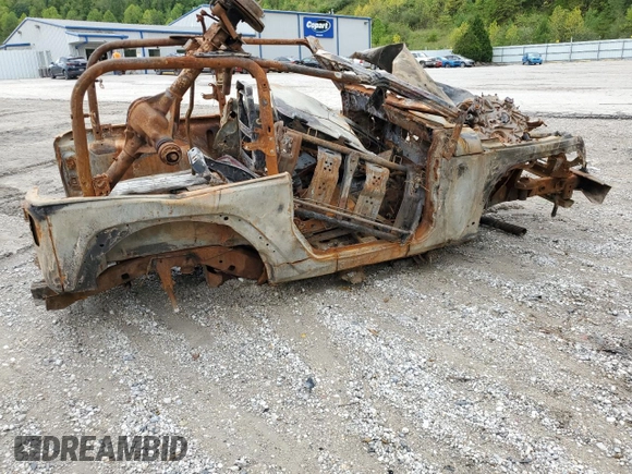2007 Jeep Wrangler Sahara with VIN 1J4FA541X7L219977, listed as a Copart auction lot 73509754 with Not provided miles and Salvage title. Bid and sale history available at DreamBid. Image 3.