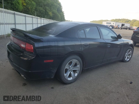 2013 Dodge Charger SE with VIN 2C3CDXBG9DH512172, listed as a Copart auction lot 60943214 with 125,163 mi miles and Salvage Title. Bid and sale history available at DreamBid. Image 3.