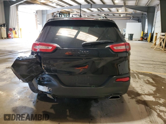 2017 Jeep Cherokee Limited with VIN 1C4PJMDS1HW625269, listed as a Copart auction lot 57131095 with 113,063 mi miles and Salvage title. Bid and sale history available at DreamBid. Image 6.