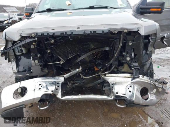 2009 Ford F-150 XL with VIN 1FTRW14849FA51992, listed as a IAAI auction lot 41444548 with 1 mi miles. Bid and sale history available at carsss.com. Image 6.
