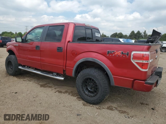 2010 Ford F-150 XL with VIN 1FTFW1EV5AFD92782, listed as a Copart auction lot 56856665 with 163,169 mi miles and Salvage title. Bid and sale history available at DreamBid. Image 2.