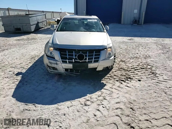 2013 Cadillac CTS Premium with VIN 1G6DP5E38D0159449, listed as a Copart auction lot 81739234 with 81,831 mi miles and Salvage Title. Bid and sale history available at DreamBid. Image 14.