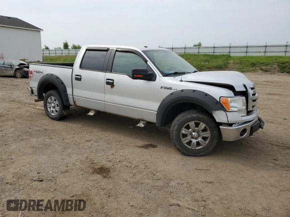 2009 Ford F-150 XL with VIN 1FTPW14V69FA77961, listed as a Copart auction lot 60561585 with 228,243 mi miles and Clean title. Bid and sale history available at DreamBid. Image 4.