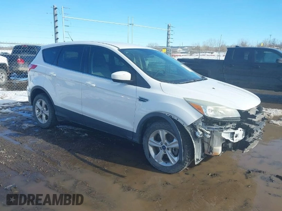 2013 Ford Escape SE with VIN 1FMCU9GX2DUD19077, listed as a IAAI auction lot 41578028 with 124,890 mi miles. Bid and sale history available at carsss.com. Image 1.