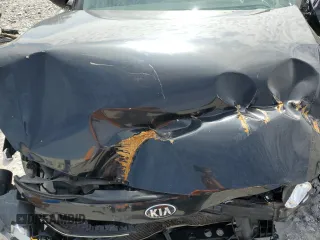 2013 Kia Optima LX with VIN 5XXGM4A79DG196336, listed as a Copart auction lot 44986605 with 0 mi miles and Salvage Title. Bid and sale history available at carsss.com. Image 13.