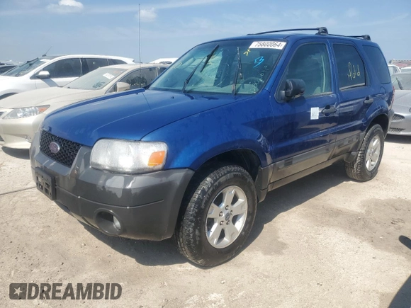 2007 Ford Escape XLT with VIN 1FMYU03117KC07213, listed as a Copart auction lot 75800064 with 0 mi miles and Non Repairable. Bid and sale history available at carsss.com. Image 1.