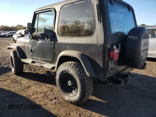 1993 Jeep Wrangler with VIN 1J4FY29S1PP235666, listed as a Copart auction lot 76386274 with 0 mi miles and Non Repairable. Bid and sale history available at carsss.com. Image 2.