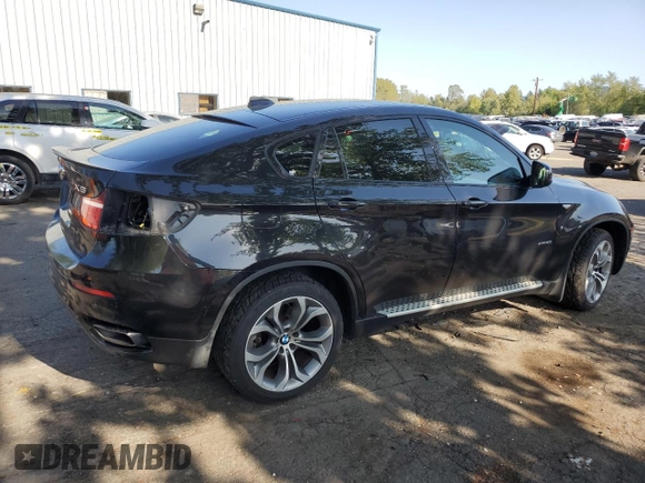 2013 BMW X6 xDrive50i z VIN 5UXFG8C5XDL591761, wystawiony jako Copart lot #54182645 z przebiegiem 117 250 mil mil oraz Szkoda całkowita • Salvage title. Historia ofert i sprzedaży dostępna na DreamBid. Obrazek 3.