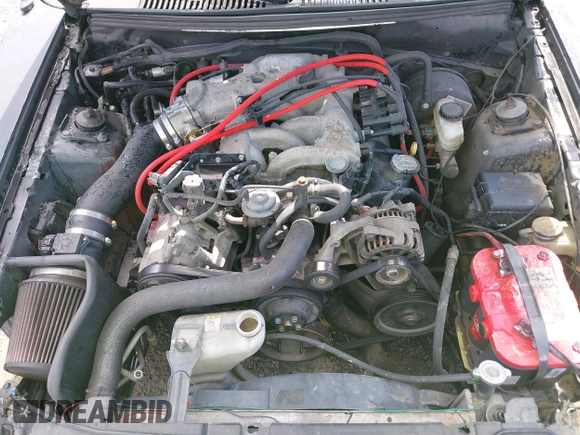 2004 Ford Mustang Standard with VIN 1FAFP40614F176095, listed as a IAAI auction lot 41907117 with 217,072 mi miles. Bid and sale history available at carsss.com. Image 10.
