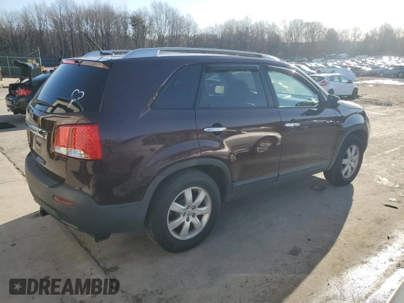 2013 Kia Sorento LX with VIN 5XYKT3A63DG361839, listed as a Copart auction lot 49459425 with Not provided miles and Salvage title. Bid and sale history available at DreamBid. Image 3.