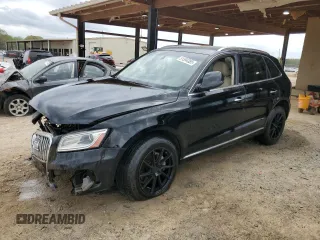 2015 Audi Q5 Premium Plus with VIN WA1LFAFP0FA145008, listed as a Copart auction lot 51594385 with 119,963 mi miles and Salvage Title. Bid and sale history available at carsss.com. Image 1.
