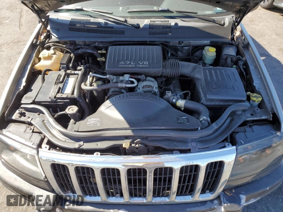 1999 Jeep Grand Cherokee Laredo with VIN 1J4GW58N4XC739465, listed as a Copart auction lot 76130544 with 195,649 mi miles and Salvage title. Bid and sale history available at DreamBid. Image 12.