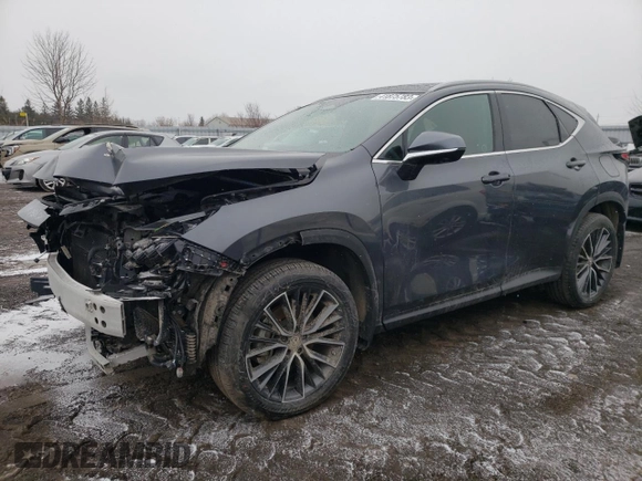 2022 Lexus NX with VIN 2T2GKCEZ5NC006791, listed as a Copart auction lot 41875783 with 2,436 mi miles. Bid and sale history available at carsss.com. Image 1.