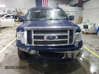 2010 Ford F-150 XL with VIN 1FTFW1EVXAFB92416, listed as a Copart auction lot 51909125 with 210,718 mi miles and Salvage Title. Bid and sale history available at carsss.com. Image 5.