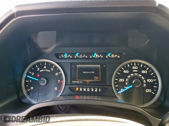 2017 Ford F-150 XL with VIN 1FTEX1C86HKD34624, listed as a Copart auction lot 51810795 with 223,182 mi miles and Salvage Title. Bid and sale history available at carsss.com. Image 9.