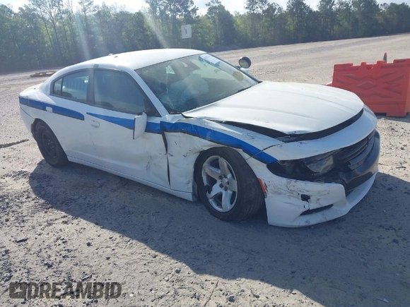 2019 Dodge Charger Police with VIN 2C3CDXAT3KH599711, listed as a IAAI auction lot 41906214 with 80,462 mi miles and . Bid and sale history available at DreamBid. Image 1.