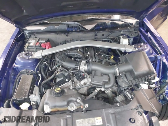 2014 Ford Mustang V6 with VIN 1ZVBP8AM4E5272840, listed as a IAAI auction lot 42162282 with 99,221 mi miles and . Bid and sale history available at DreamBid. Image 10.