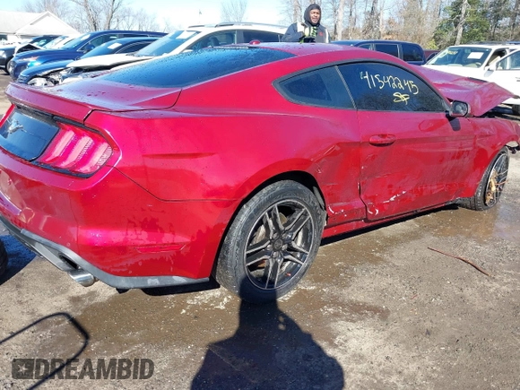 2019 Ford Mustang EcoBoost with VIN 1FA6P8TH3K5117315, listed as a IAAI auction lot 41542245 with Not Provided miles and . Bid and sale history available at carsss.com. Image 4.