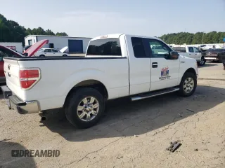 2010 Ford F-150 XL with VIN 1FTEX1C88AFA01775, listed as a Copart auction lot 62842515 with 153,623 mi miles and Clean title. Bid and sale history available at DreamBid. Image 3.