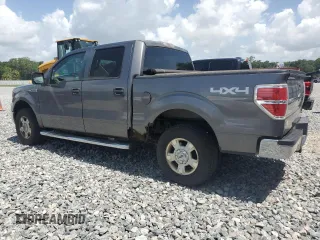 2010 Ford F-150 XL with VIN 1FTFW1EV8AFC53407, listed as a Copart auction lot 60062675 with 164,740 mi miles and Clean title. Bid and sale history available at DreamBid. Image 2.