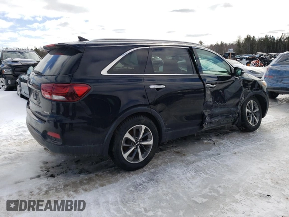 2019 Kia Sorento EX with VIN 5XYPHDA5XKG443455, listed as a Copart auction lot 45269015 with 94,513 mi miles and Salvage Title. Bid and sale history available at DreamBid. Image 3.