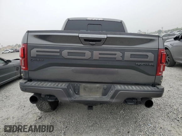 2020 Ford F-150 Raptor with VIN 1FTFW1RG4LFA39156, listed as a Copart auction lot 52204325 with Not Provided miles and Salvage Title. Bid and sale history available at carsss.com. Image 6.