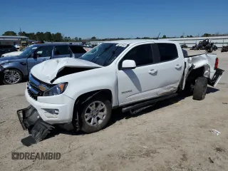 2020 Chevrolet Colorado 2WD LT with VIN 1GCGSCEN6L1101573, listed as a Copart auction lot 48778285 with 39,632 mi miles and Salvage Title. Bid and sale history available at DreamBid. Image 1.