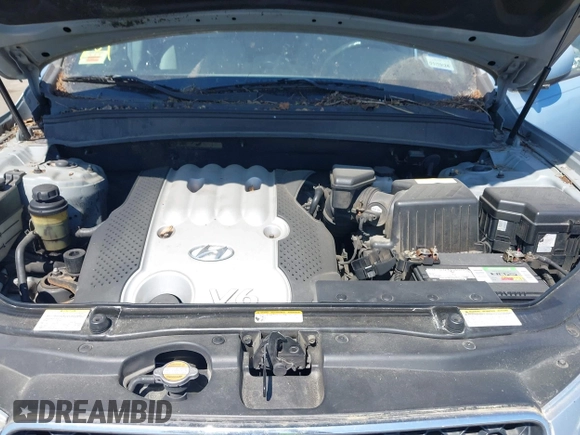2007 Hyundai Santa Fe GLS with VIN 5NMSG13DX7H055249, listed as a IAAI auction lot 42065670 with 125,203 mi miles and . Bid and sale history available at DreamBid. Image 10.