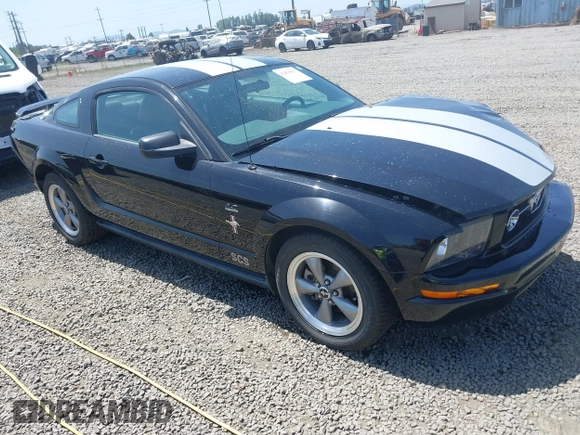 2006 Ford Mustang Standard with VIN 1ZVFT80N065182187, listed as a IAAI auction lot 42453637 with Not provided miles and . Bid and sale history available at DreamBid. Image 1.