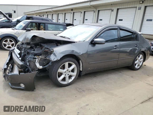 2006 Nissan Maxima 3.5 SE with VIN 1N4BA41EX6C805024, listed as a Copart auction lot 65024384 with 233,828 mi miles and Salvage Title. Bid and sale history available at carsss.com. Image 1.