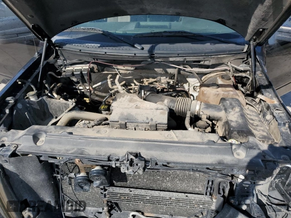 2009 Ford F-150 STX with VIN 1FTRX14W09FA24655, listed as a Copart auction lot 46085665 with Not Provided miles and Salvage Title. Bid and sale history available at DreamBid. Image 13.