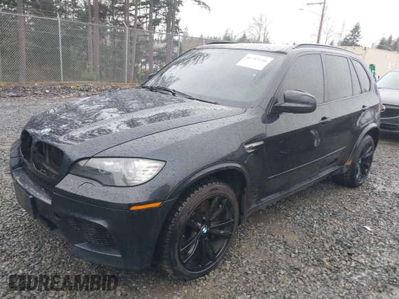 2010 BMW X5 M with VIN 5YMGY0C59ALK25572, listed as a IAAI auction lot 41712140 with 163,226 mi miles. Bid and sale history available at carsss.com. Image 2.