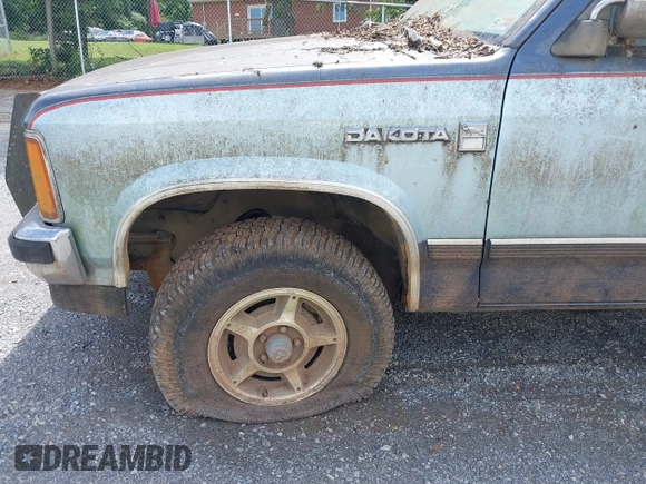 1987 Dodge Dakota с VIN 1B7GR14M9HS404759, выставлен на аукционе IAAI как лот 42513734 с пробегом 95 125 миль миль и . История ставок и продаж доступна на DreamBid. Изображение 12.