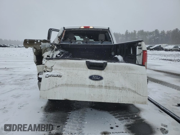 2017 Ford F-150 XL with VIN 1FTEW1EG0HFC21266, listed as a Copart auction lot 46624745 with 141,117 mi miles and Salvage Title. Bid and sale history available at carsss.com. Image 6.
