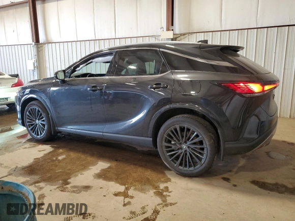 2024 Lexus RX 350 with VIN 2T2BAMCA5RC084462, listed as a Copart auction lot 48794065 with 10,142 mi miles and Salvage Title. Bid and sale history available at DreamBid. Image 2.