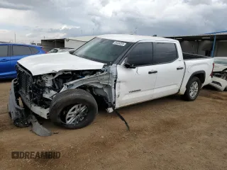 2023 Toyota Tundra SR5 with VIN 5TFLA5DB1PX057795, listed as a Copart auction lot 54494265 with 24,132 mi miles and Salvage title. Bid and sale history available at DreamBid. Image 1.