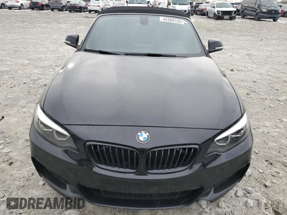 2018 BMW 2 Series 230i with VIN WBA2M7C51JVA97243, listed as a Copart auction lot 42369135 with 52,606 mi miles and Salvage Title. Bid and sale history available at carsss.com. Image 5.
