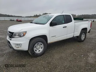 2016 Chevrolet Colorado 4WD WT with VIN 1GCHTBE38G1134171, listed as a Copart auction lot 79308944 with 204,733 mi miles and Salvage Title. Bid and sale history available at carsss.com. Image 1.