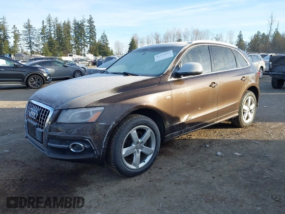 2011 Audi Q5 3.2L Premium Plus with VIN WA1DKAFP9BA031566, listed as a IAAI auction lot 41379022 with 148,942 mi miles. Bid and sale history available at carsss.com. Image 2.