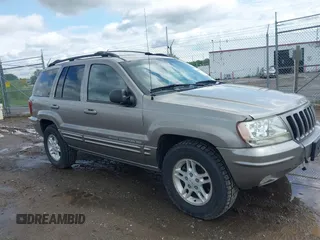 1999 Jeep Grand Cherokee Limited z VIN 1J4GW68N3XC597468, wystawiony jako IAAI lot #42353732 z przebiegiem 201 388 mil mil oraz . Historia ofert i sprzedaży dostępna na DreamBid. Obrazek 6.