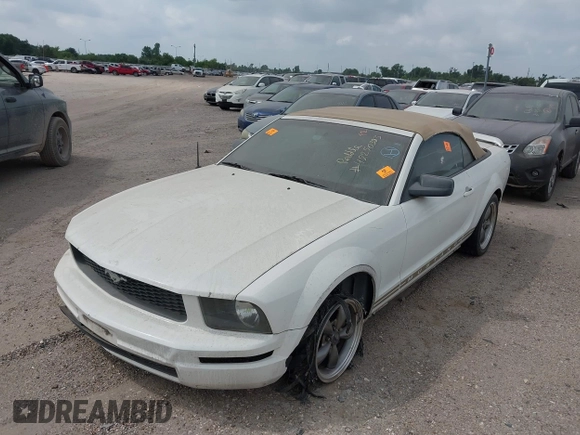 2005 Ford Mustang Deluxe with VIN 1ZVFT84N155260324, listed as a IAAI auction lot 42250383 with Not provided miles and . Bid and sale history available at DreamBid. Image 2.