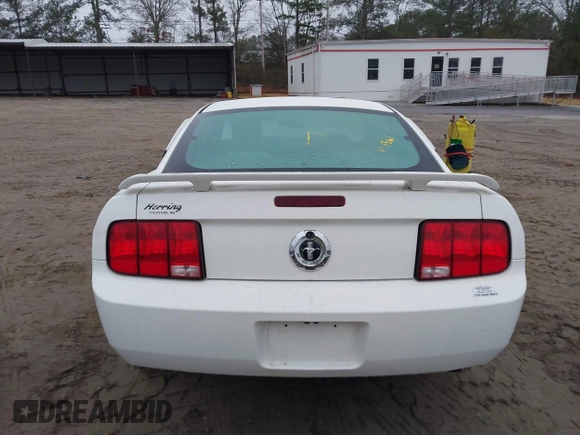 2005 Ford Mustang Deluxe with VIN 1ZVFT80N455211561, listed as a IAAI auction lot 41548177 with Not Provided miles. Bid and sale history available at carsss.com. Image 15.