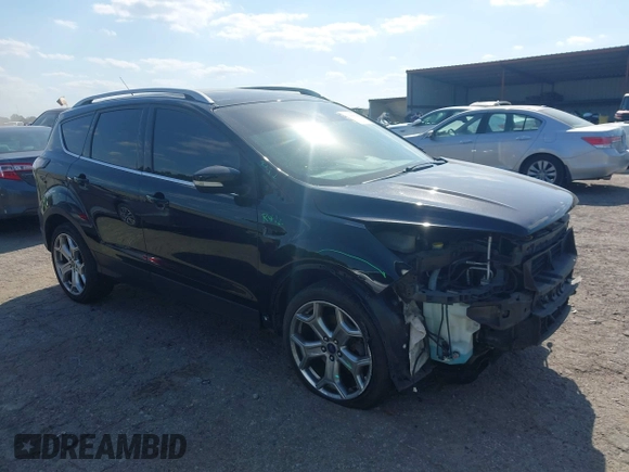 2017 Ford Escape Titanium with VIN 1FMCU0J91HUA75417, listed as a IAAI auction lot 42044170 with 116,431 mi miles. Bid and sale history available at carsss.com. Image 1.