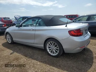 2016 BMW 2 Series 228i xDrive with VIN WBA1L9C54GV324778, listed as a Copart auction lot 53806835 with 51,743 mi miles and Salvage title. Bid and sale history available at DreamBid. Image 2.