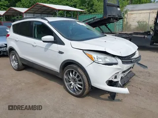 2014 Ford Escape SE with VIN 1FMCU9G99EUC81141, listed as a IAAI auction lot 42436279 with 123,947 mi miles and . Bid and sale history available at DreamBid. Image 1.