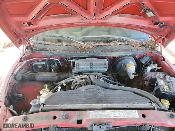 2000 Dodge Ram 1500 with VIN 3B7HF13Z8YG161348, listed as a Copart auction lot 41558035 with 0 mi miles and Salvage Title. Bid and sale history available at carsss.com. Image 12.