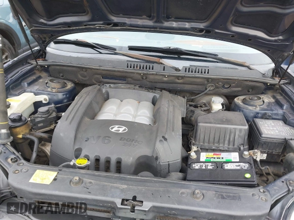 2005 Hyundai Santa Fe GLS with VIN KM8SC73D45U943575, listed as a IAAI auction lot 41676922 with 265,333 mi miles. Bid and sale history available at carsss.com. Image 10.