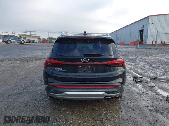 2021 Hyundai Santa Fe SEL with VIN 5NMS24AJ0MH357850, listed as a IAAI auction lot 41207381 with 123,584 mi miles. Bid and sale history available at carsss.com. Image 16.